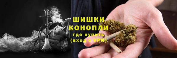 прущая мука Вяземский