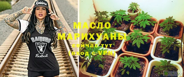 прущая мука Вяземский