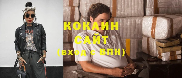 прущая мука Вяземский