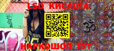 крисы Абакан