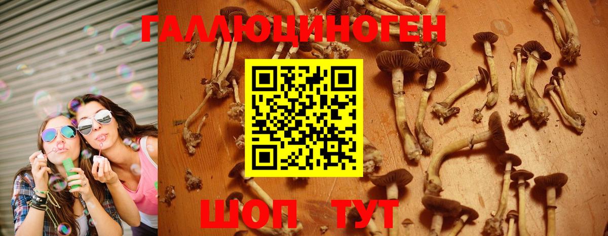 Псилоцибиновые грибы мухоморы  Дедовск  как найти наркотики  Галлюциногенные грибы MAGIC MUSHROOMS 